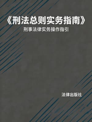 《刑法总则实务指南》