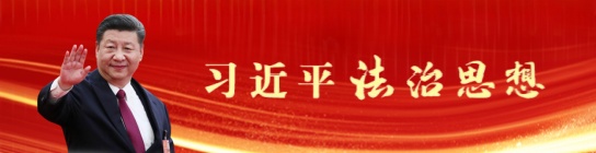 习近平法治思想